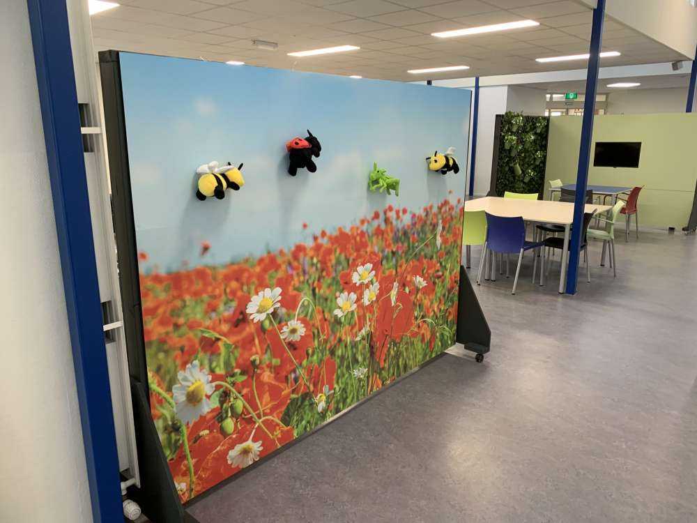 Mohnblumen und Gänseblümchen