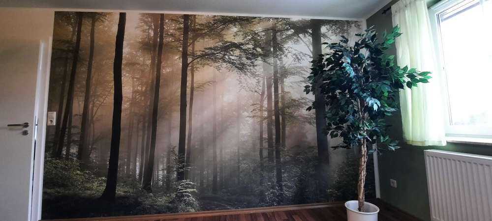 Grüner Wald im Nebel