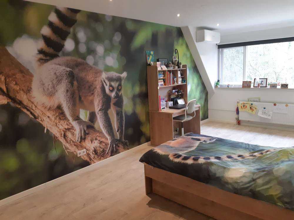 Ringelschwanzaffe in einem Baum