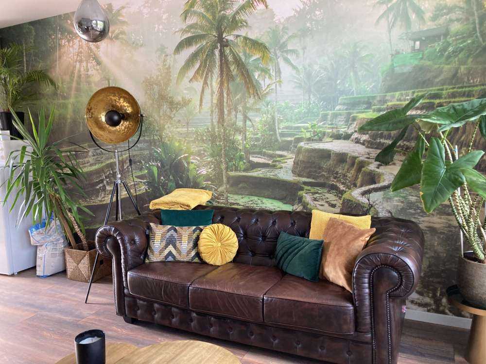 Reisfelder im Dschungel