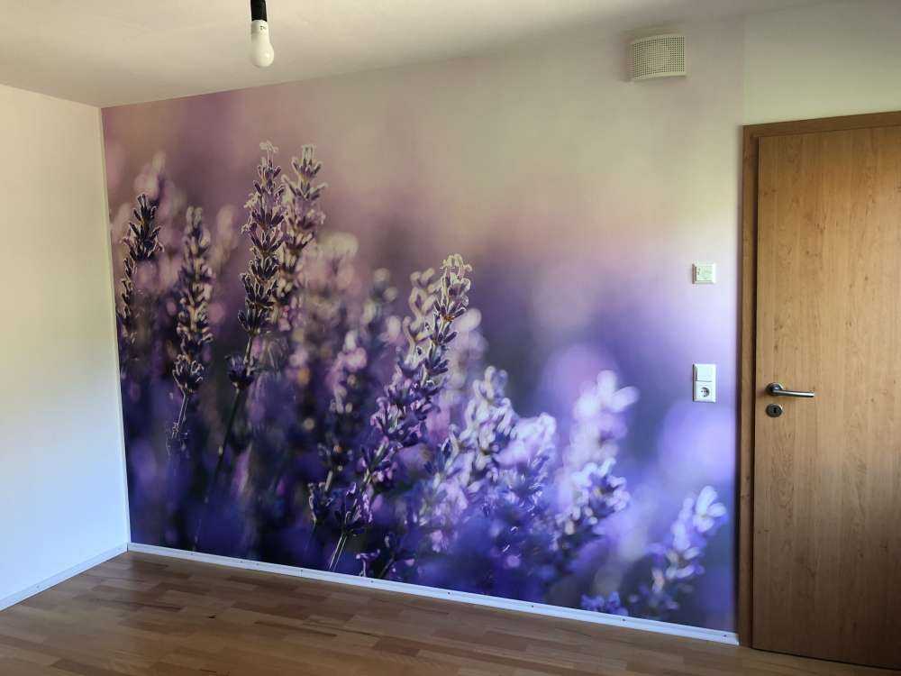 Verträumter Lavendel