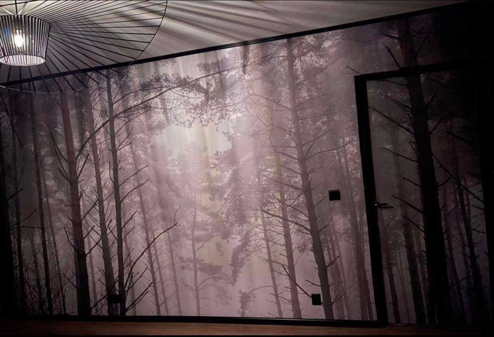 Pfad im nebligen Wald