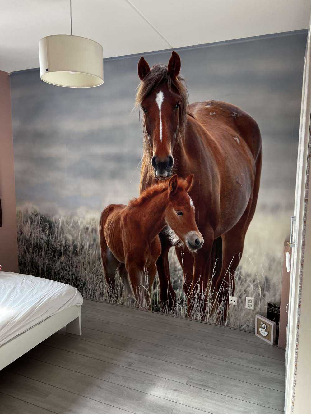 Wildpferde