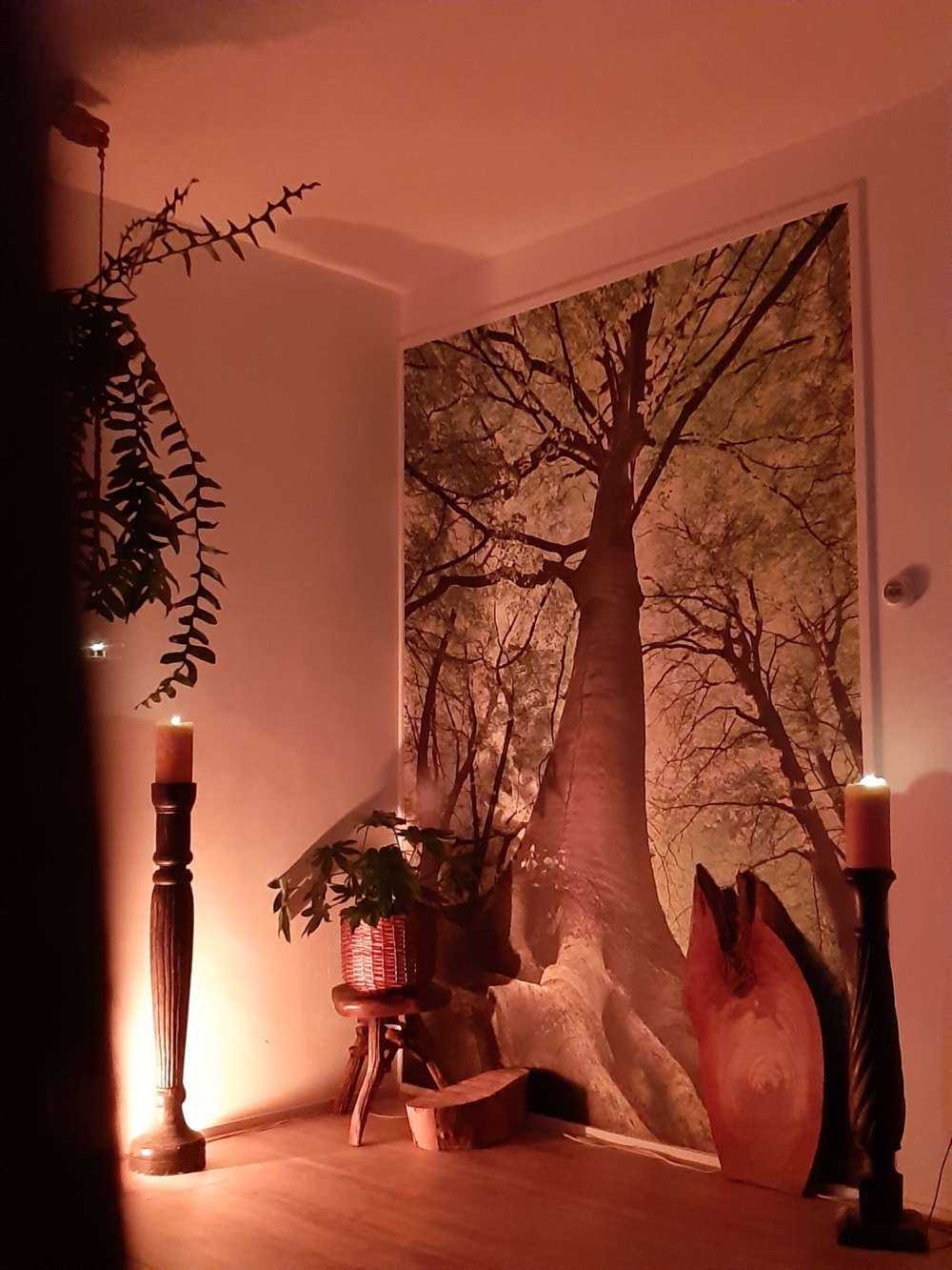 Großer Baum mit Wurzeln
