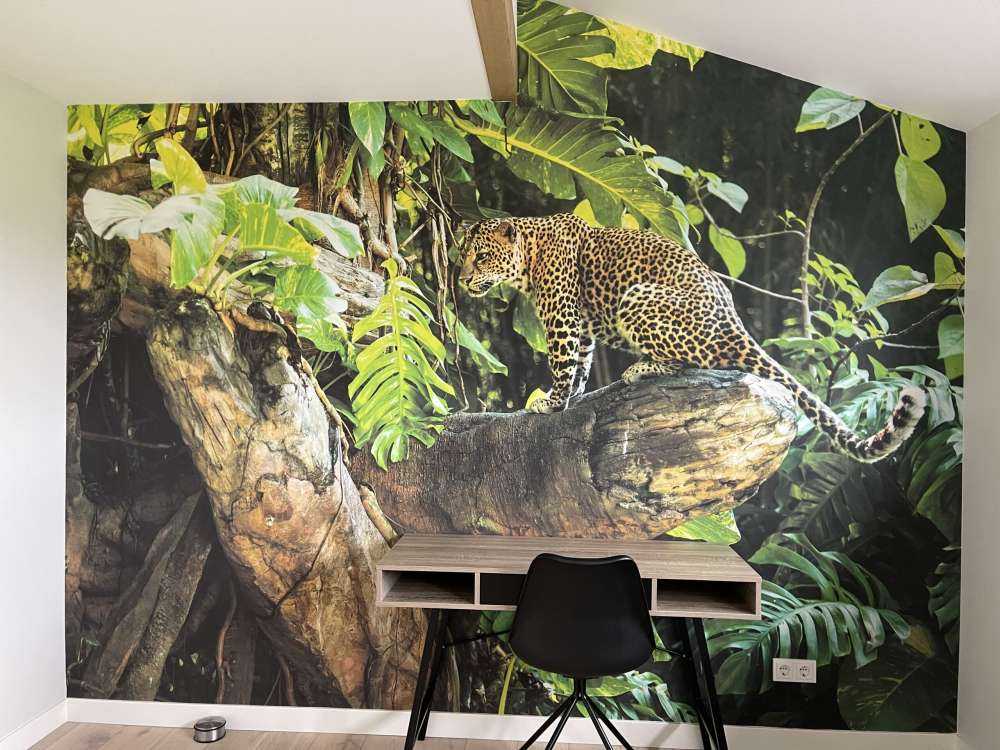 Leopard auf einem Ast