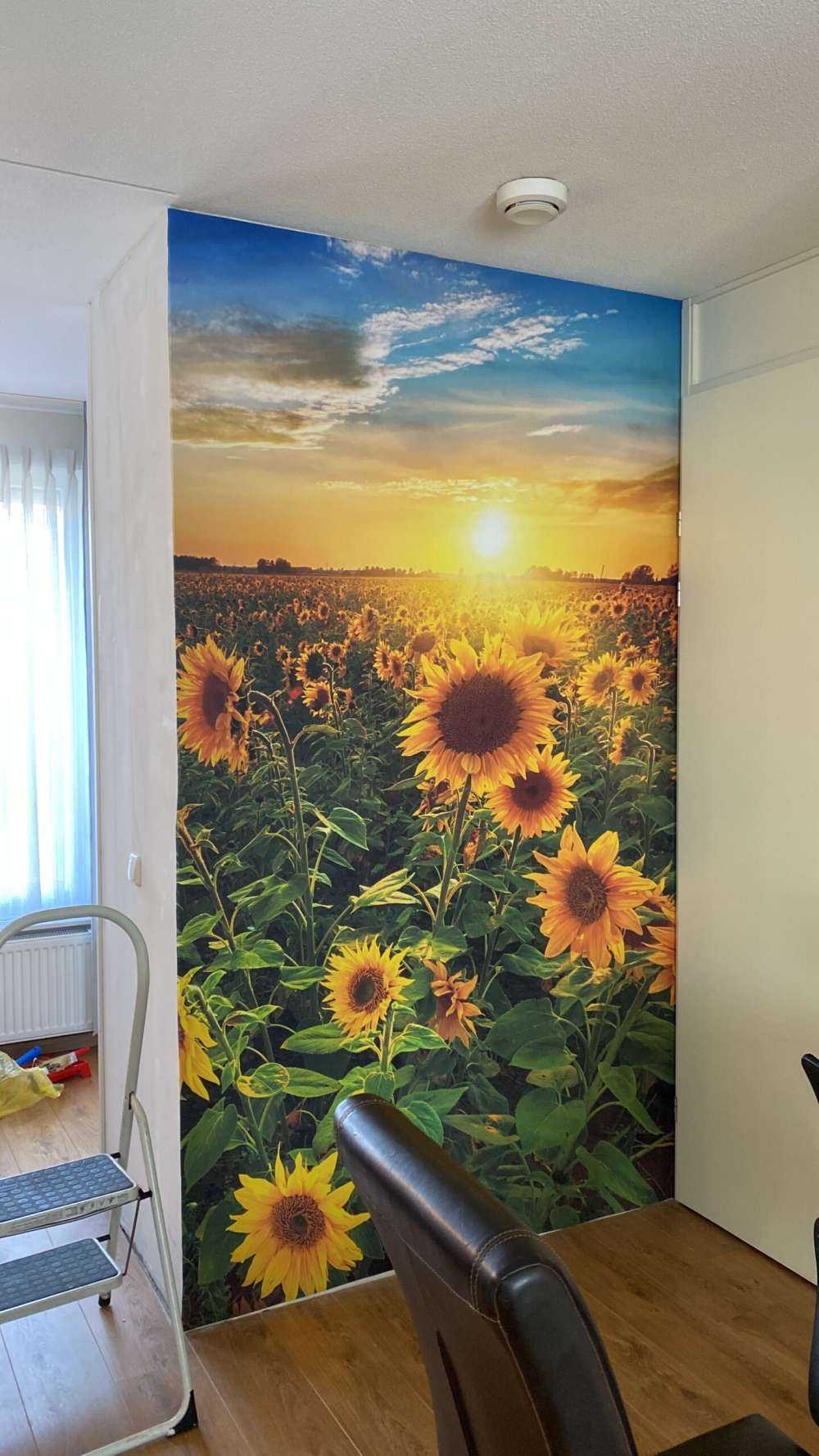 Schönes Sonnenblumenfeld