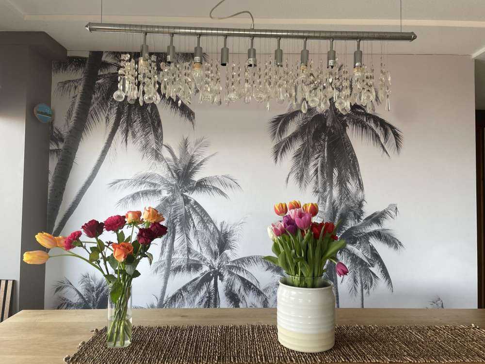 Palmen in Schwarz und Weiß