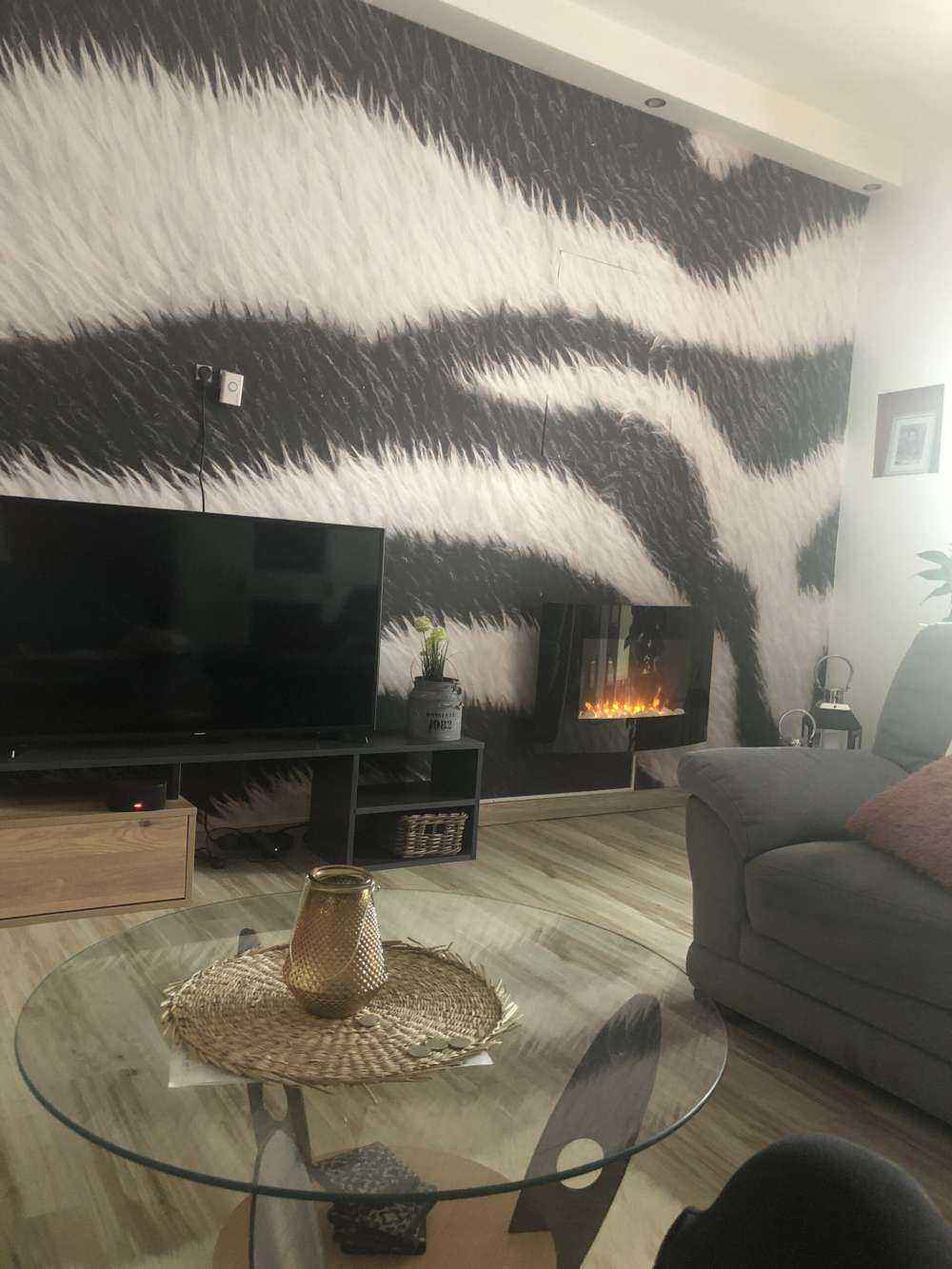 Nahaufnahme Zebrafell