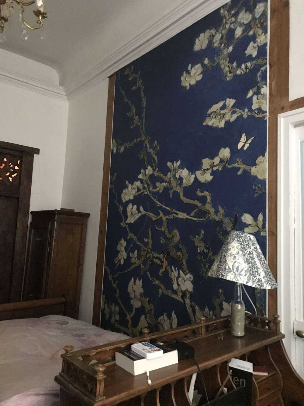 Mandelblüte in der Nacht