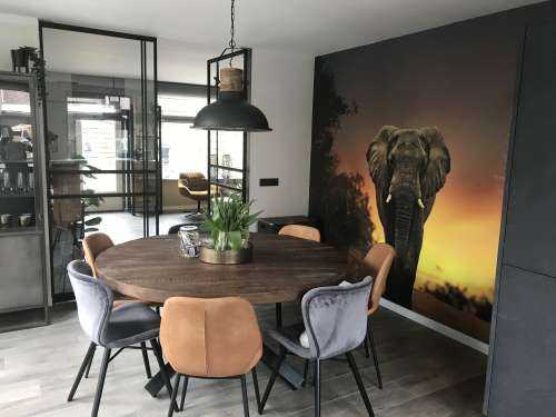 Elefant mit Sonnenuntergang