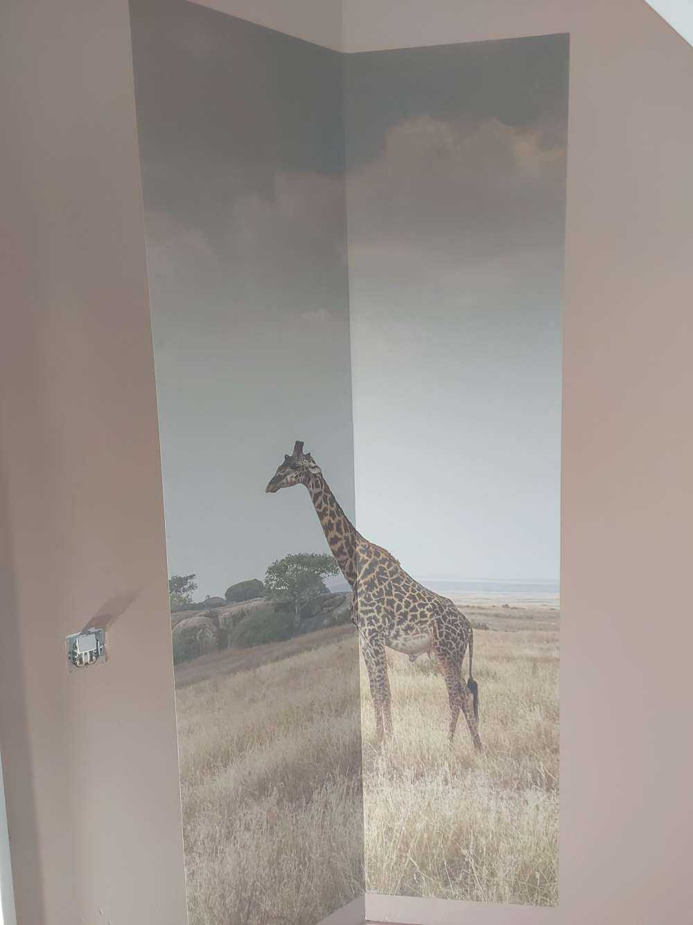 Giraffe in der Savanne