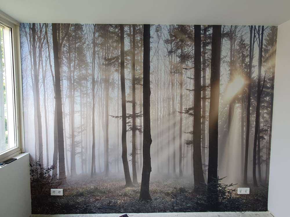 Nebliger Wald
