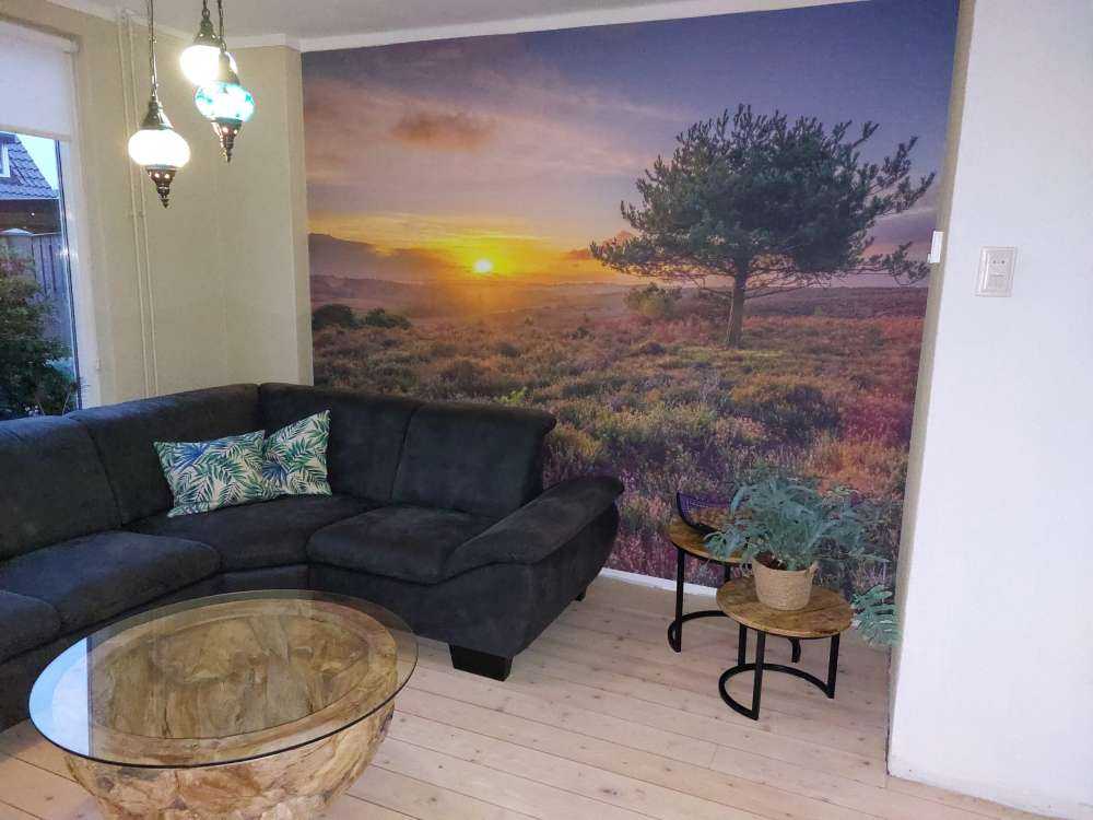 Sonnenuntergang in der Heidelandschaft