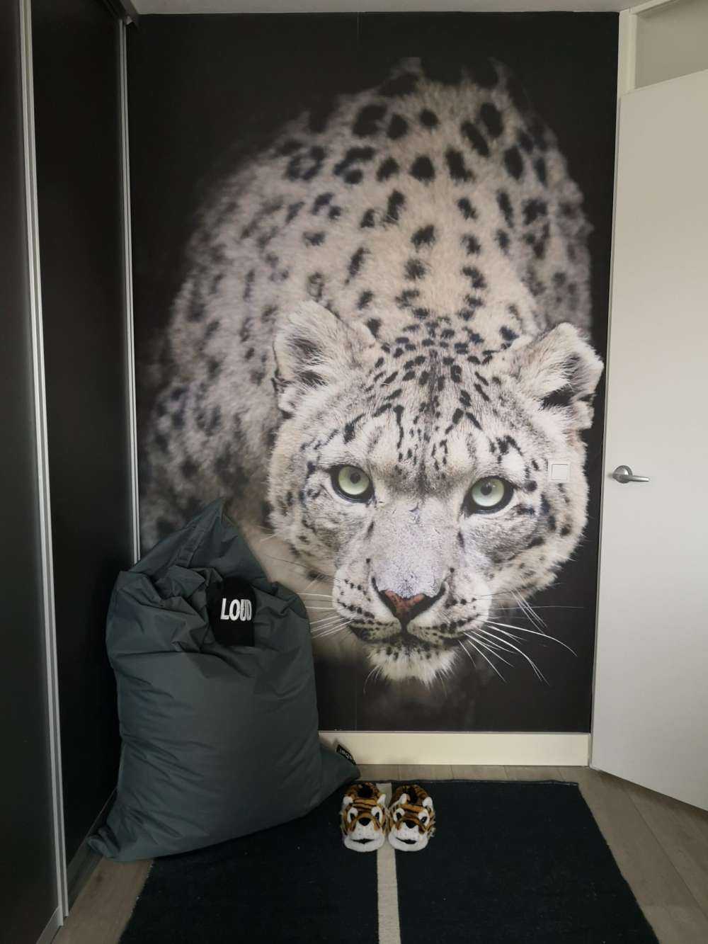 Schneeleopard