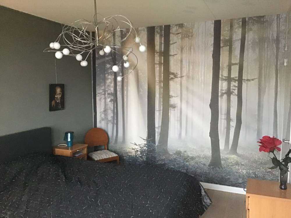 Nebliger Wald