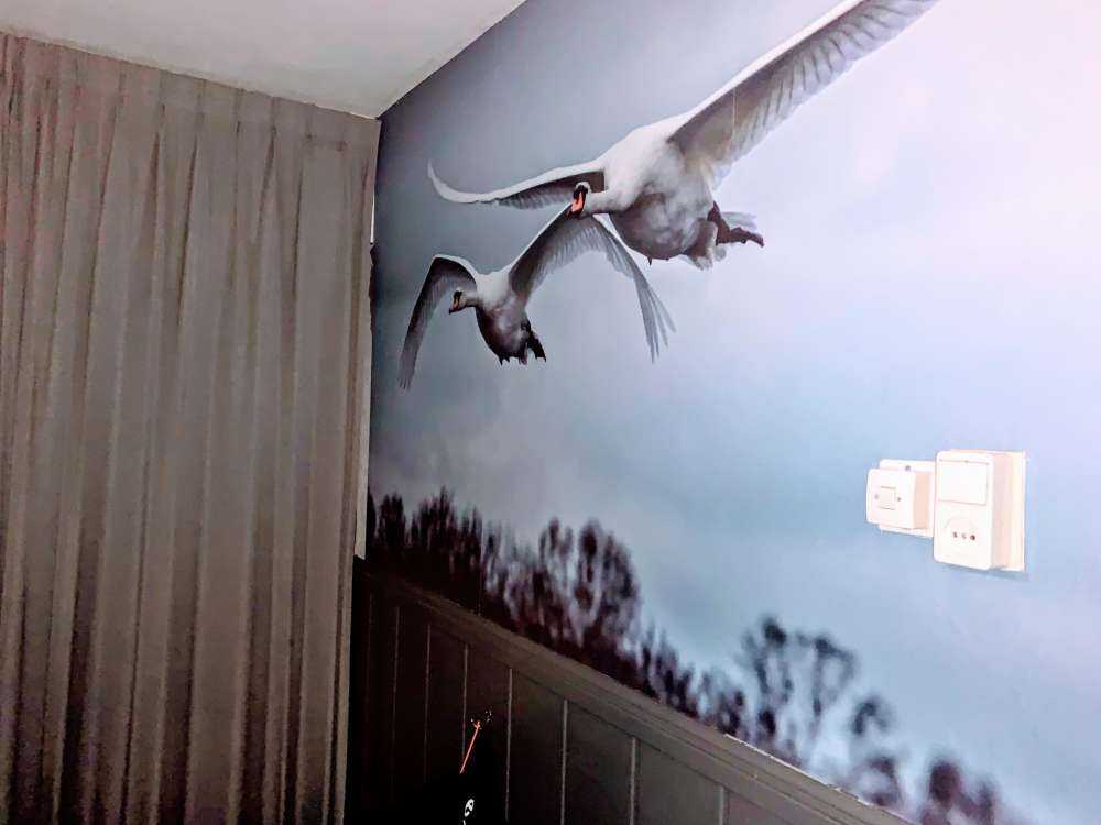 Fliegende Schwäne