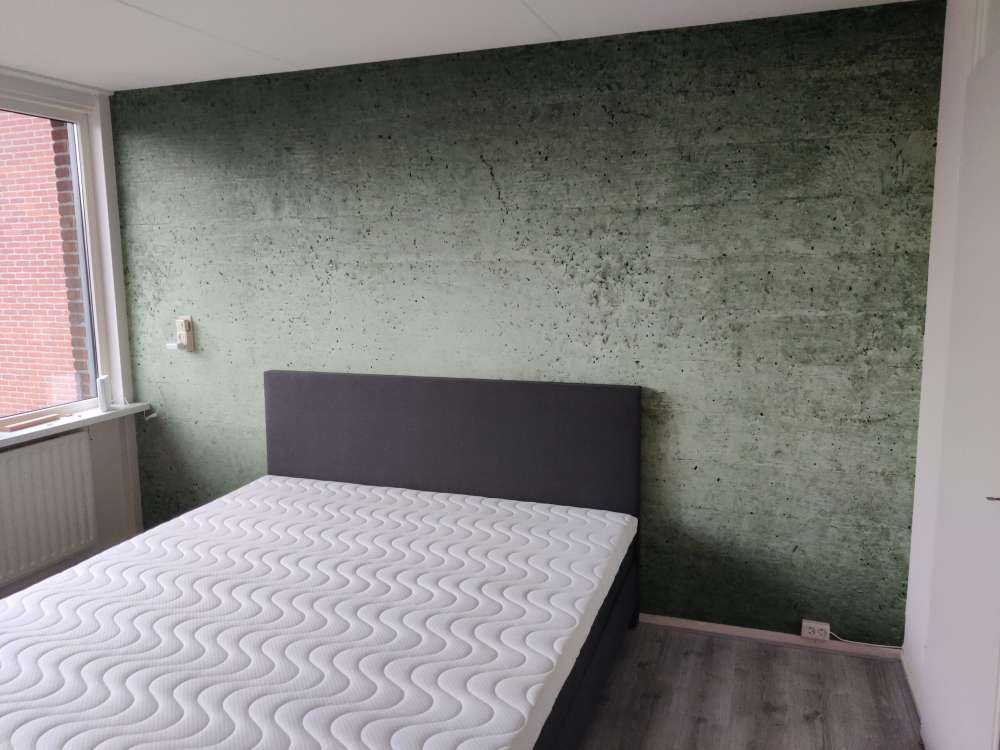 Grüne Betonwand