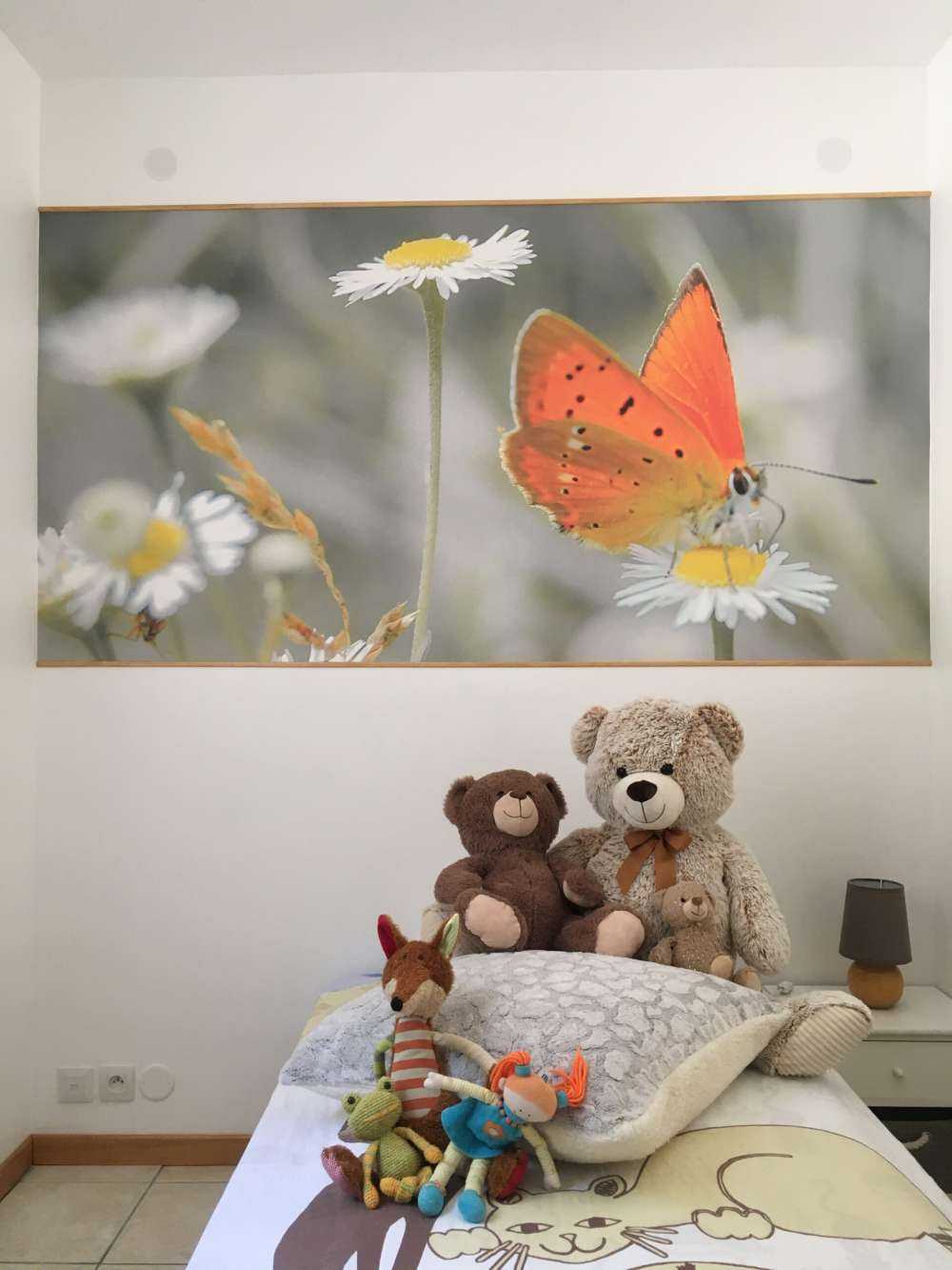 Gänseblümchen und orangefarbener Schmetterling