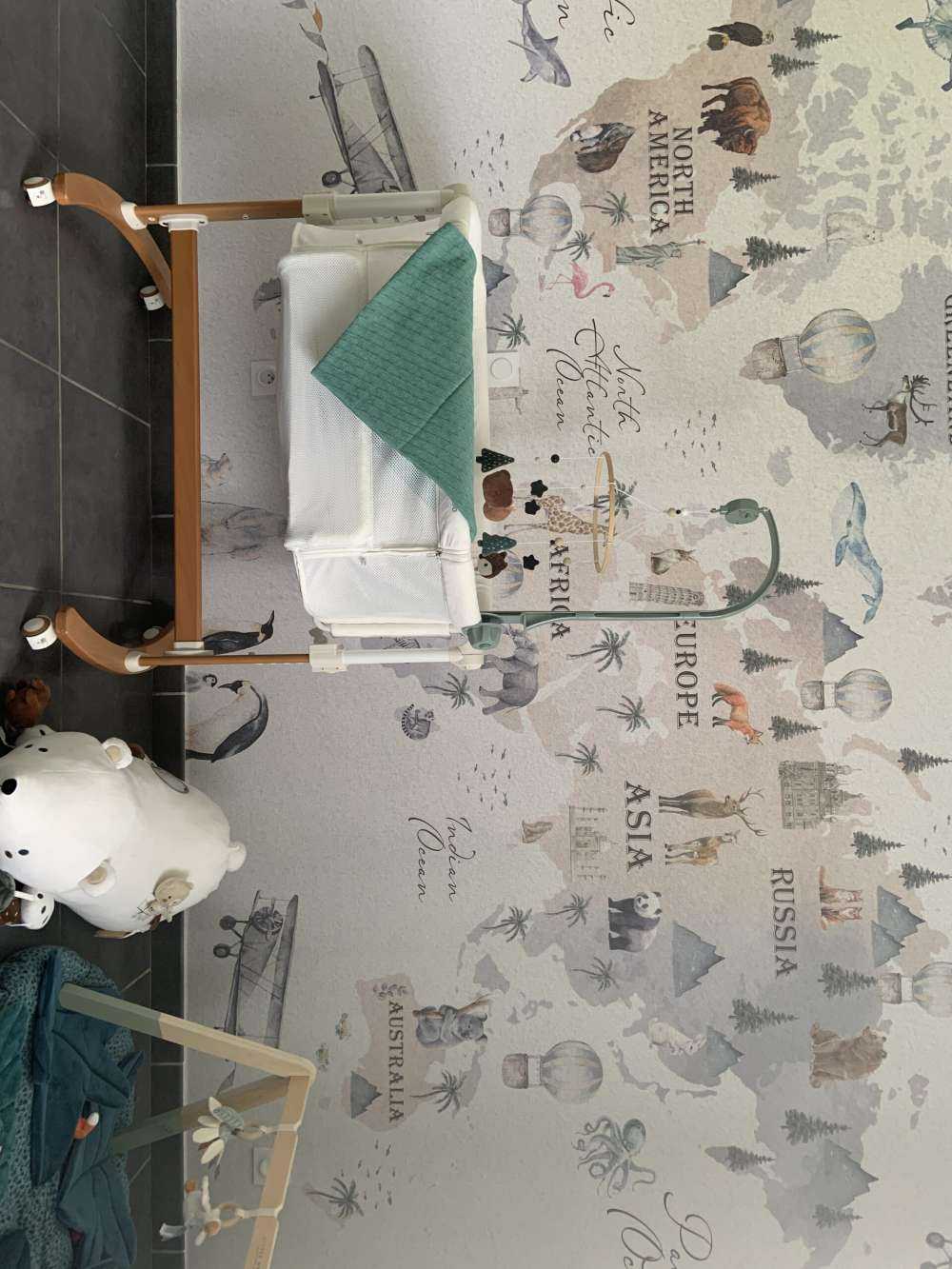 Weltkarte mit verschiedenen Tieren