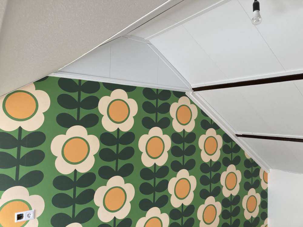 Retro Gänseblümchen