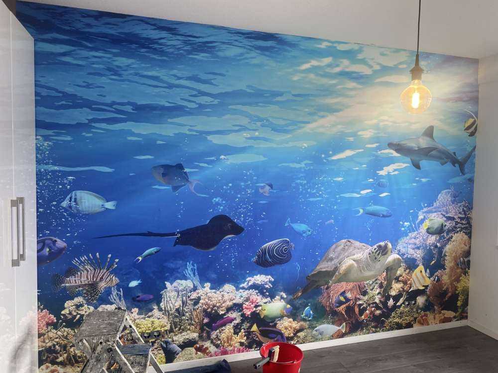 Exotische Fische