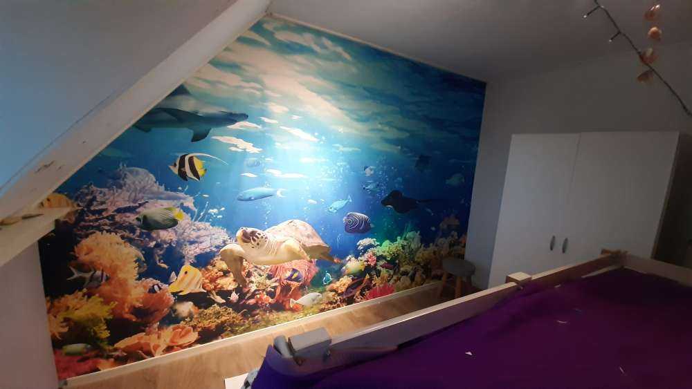 Exotische Fische