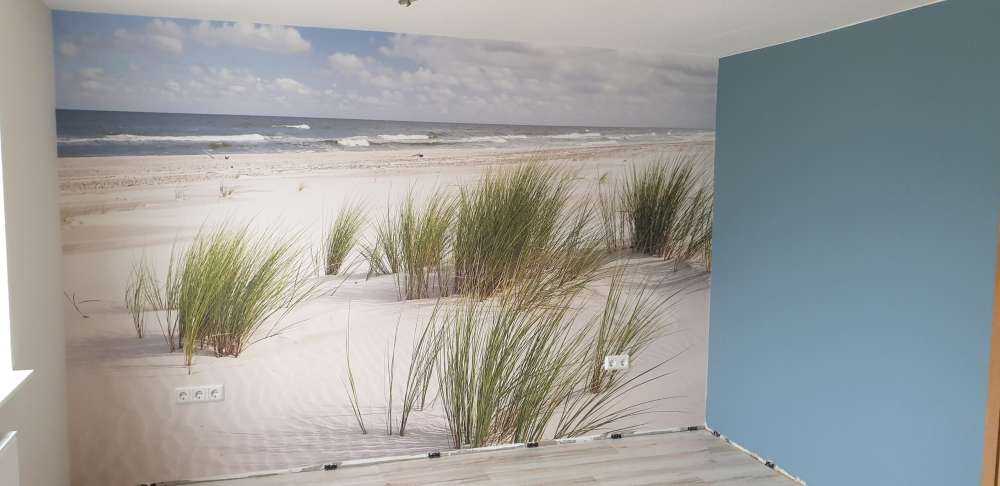 Strand mit Dünenpflanzen