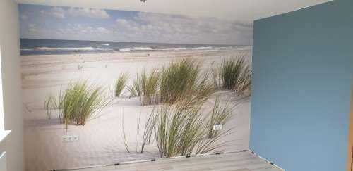 Strand mit Dünenpflanzen