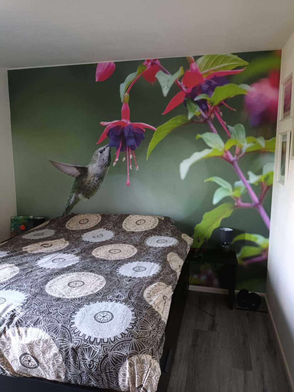 Kolibri trinkt