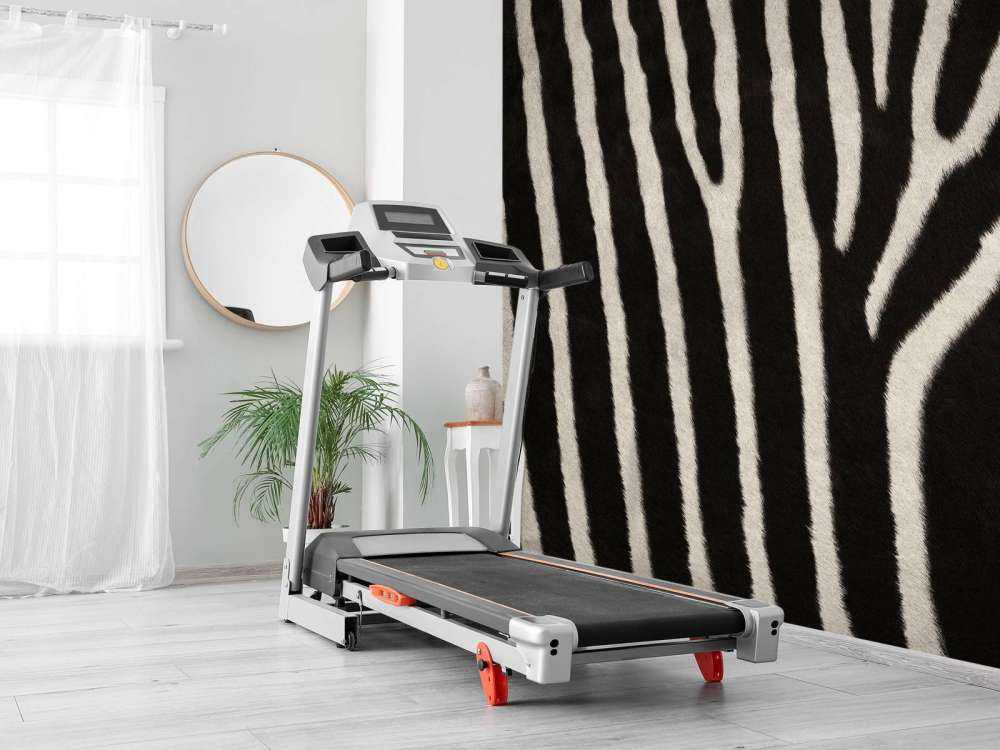 Zebra-Mantel