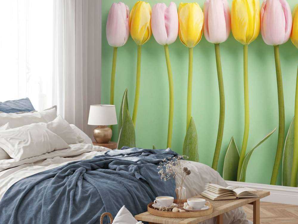 Tulpen auf minzgrüner Hintergrund