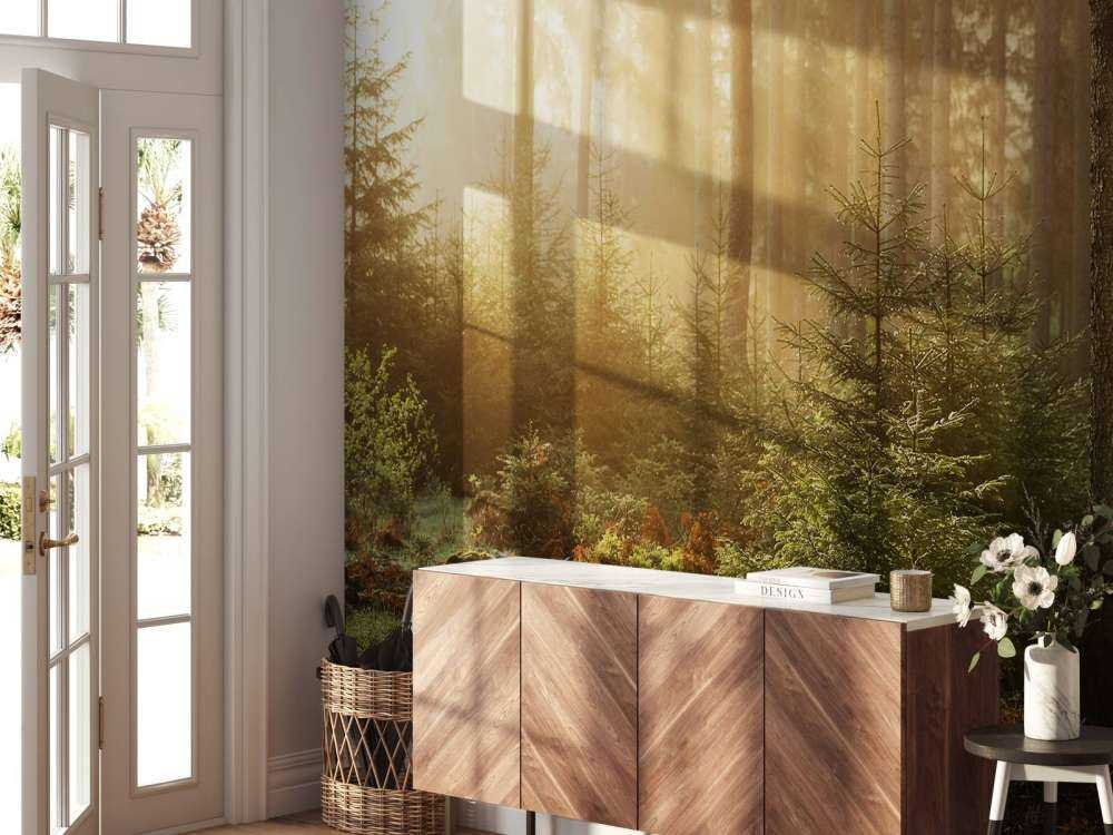 Sonnenstrahlen durch den Wald