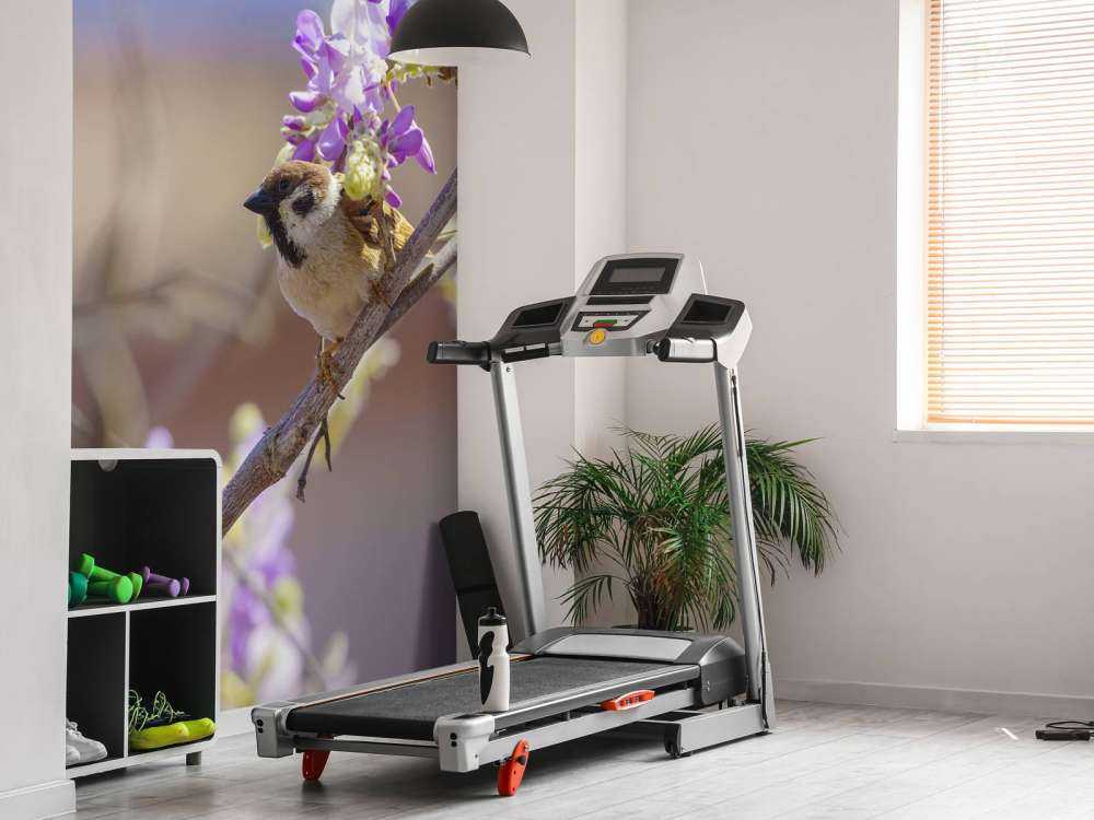 Spatz und lila Blumen