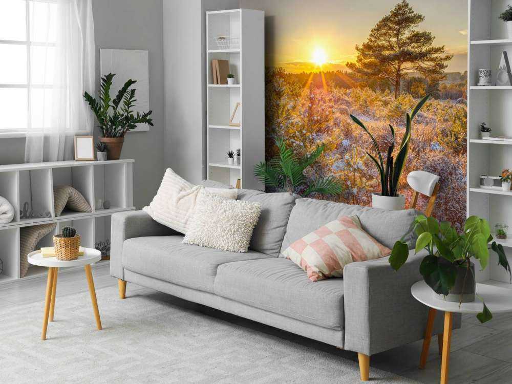 Winter Sonnenuntergang