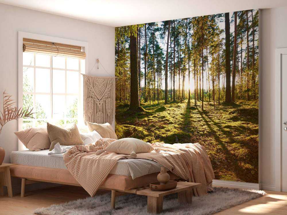 Kiefernwald
