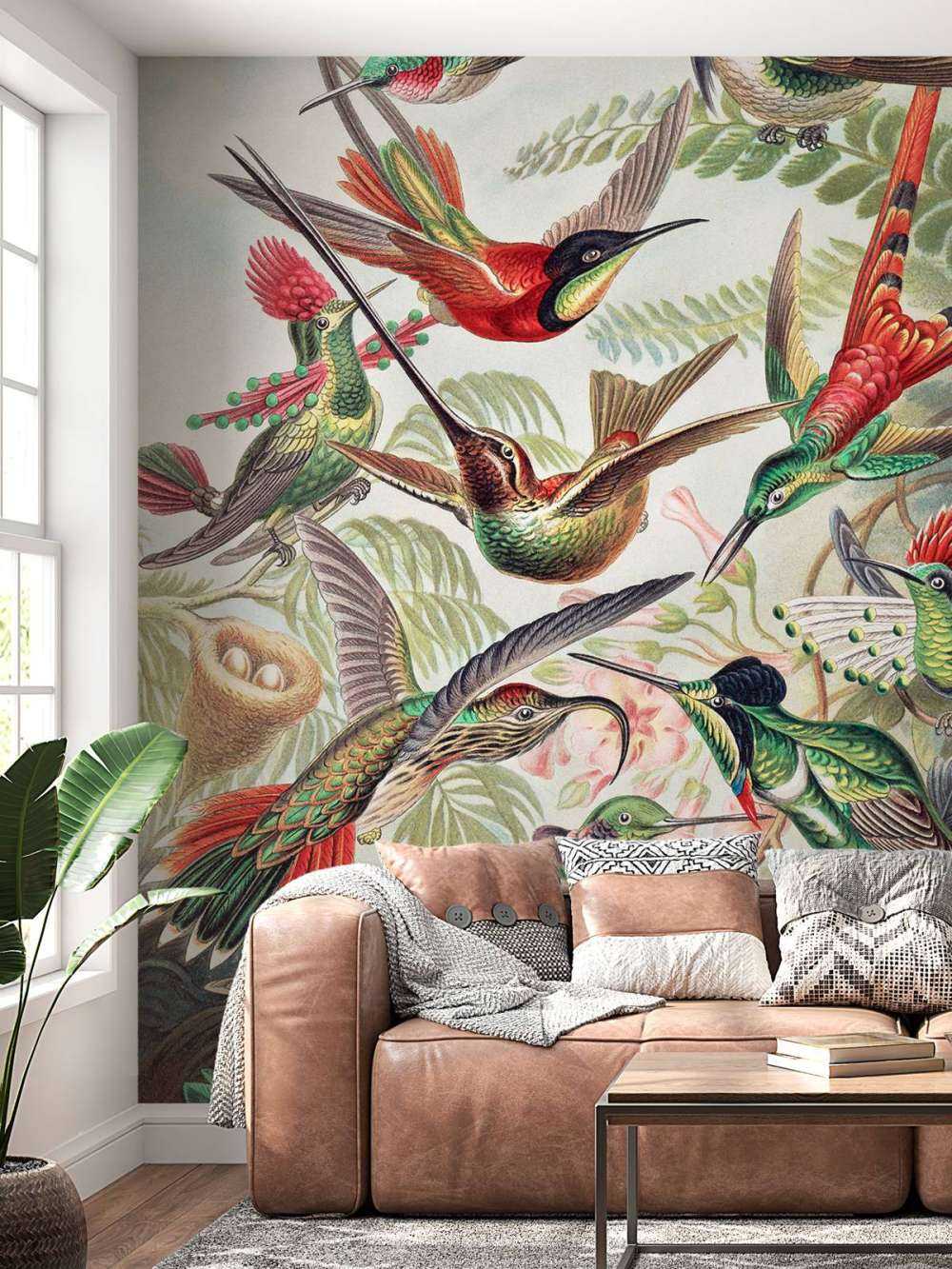 Hummingbirds