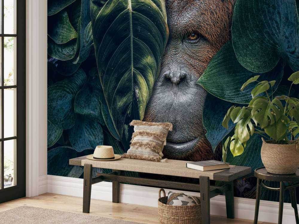 Jungle Orangutan