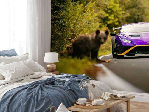 Lamborghini vs. Wildnis