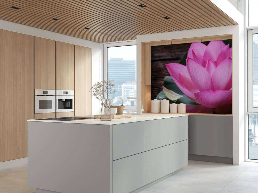 Nahaufnahme von rosa Lotus