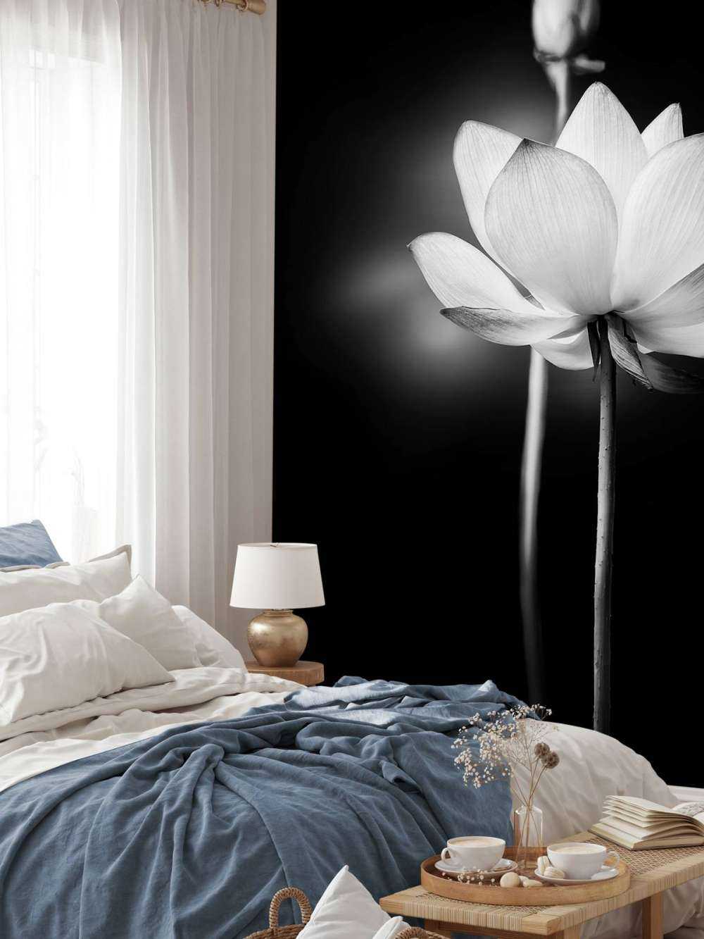 Lotusblüten schwarz und weiß