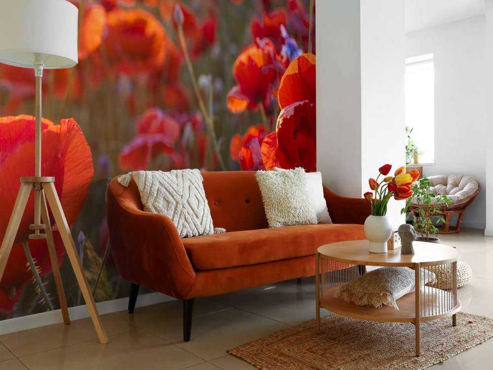 Mohn und Kornblumen