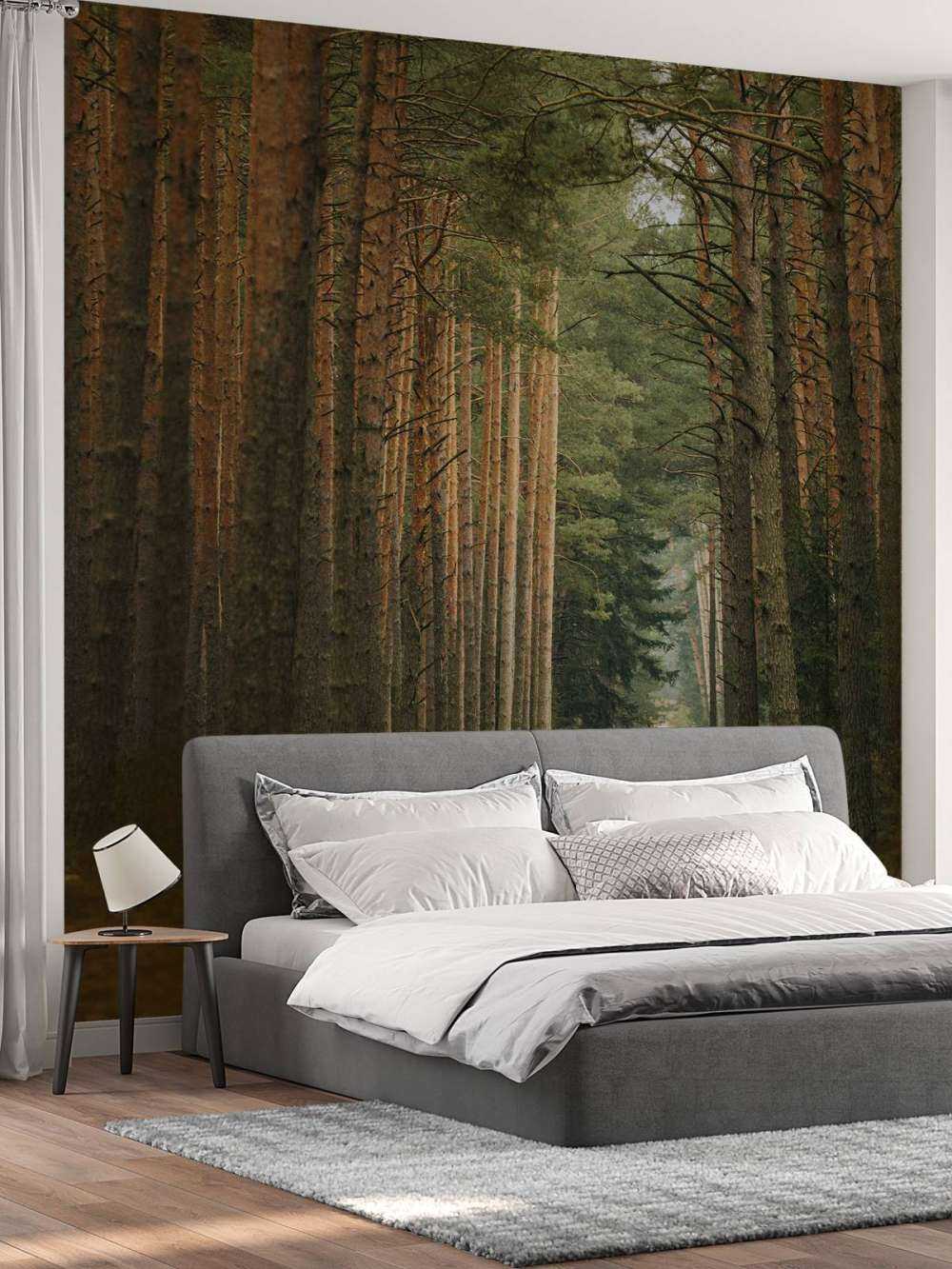 The Forest road 2