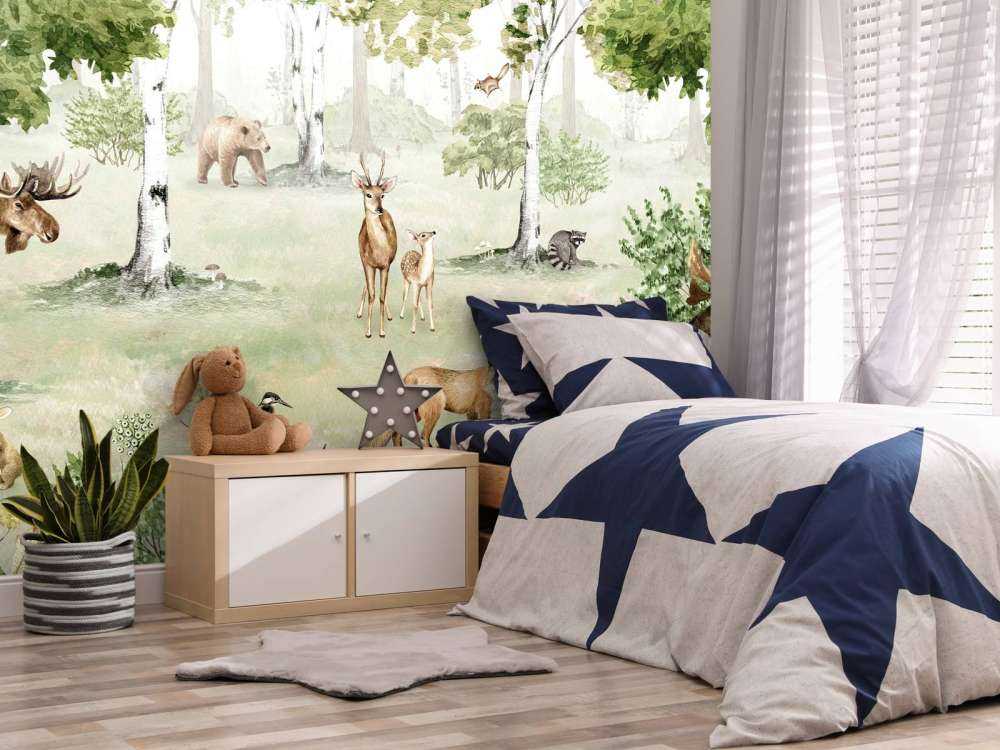 Woodland Wonders