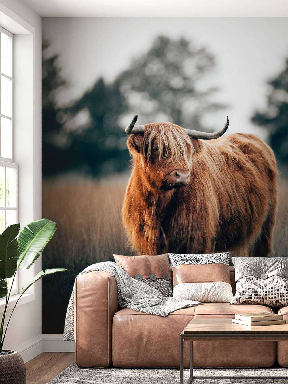 Porträt von Highlandern