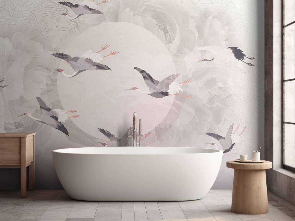 Serenity 6