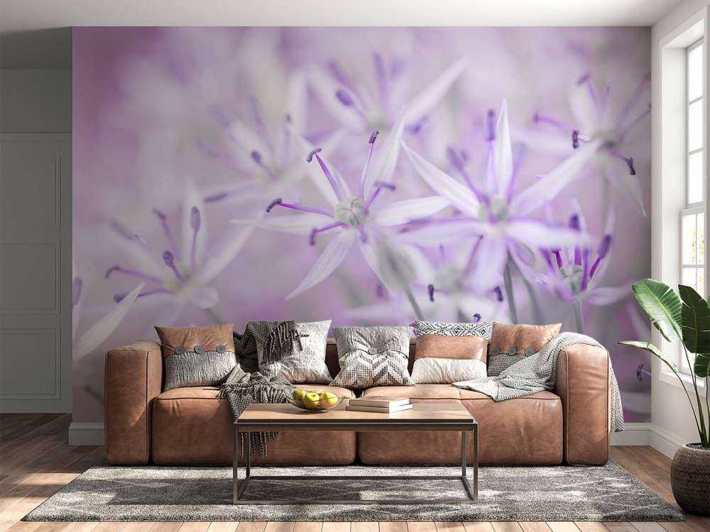 Nahaufnahme Allium-Blüten
