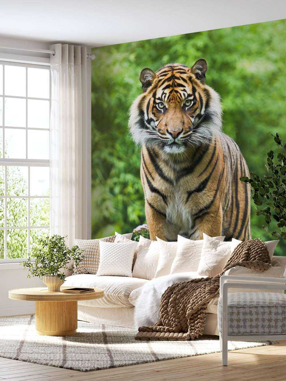 Tiger auf einem Stein