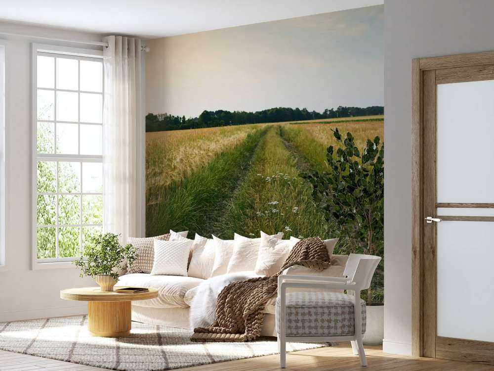 Spuren im Kornfeld