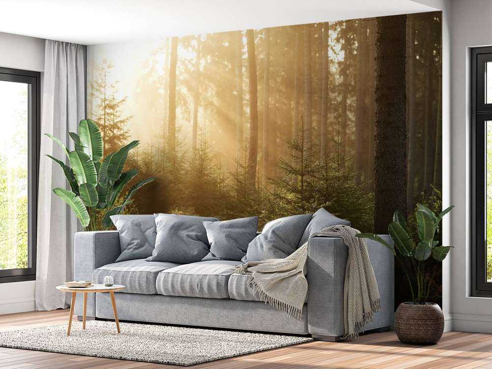 Sonnenstrahlen durch den Wald