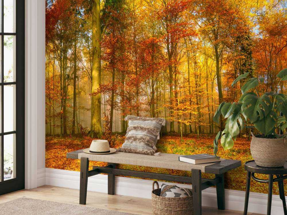 Buntes Waldpanorama